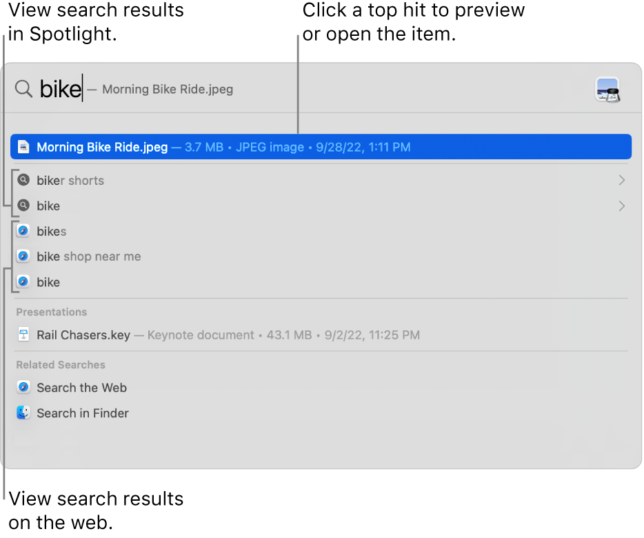 A screenshot of a webpage that shows spotlight