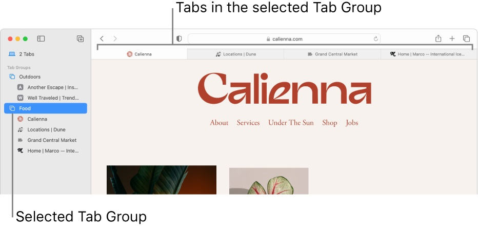 A screen shot of a website called calienna