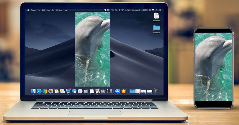 A laptop and a cell phone with a picture of a dolphin on the screen