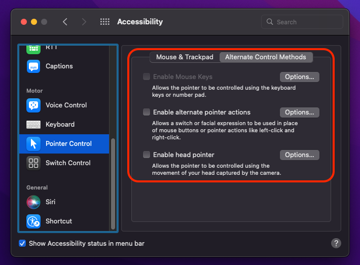 A screenshot of the accessibility settings on a mac