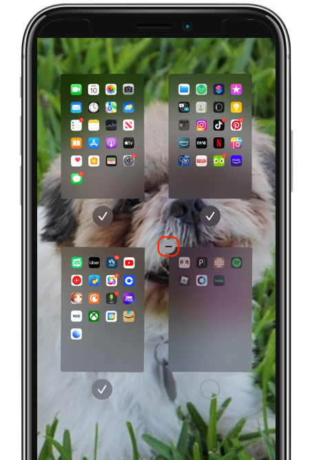 A cell phone with a picture of a dog on the screen