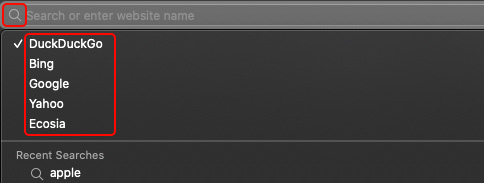A computer screen with a search bar that says search or enter website name