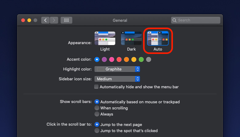 A screenshot of a computer screen showing the options for dark and light