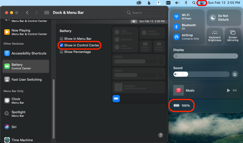 A screenshot of a computer screen showing the dock and menu bar