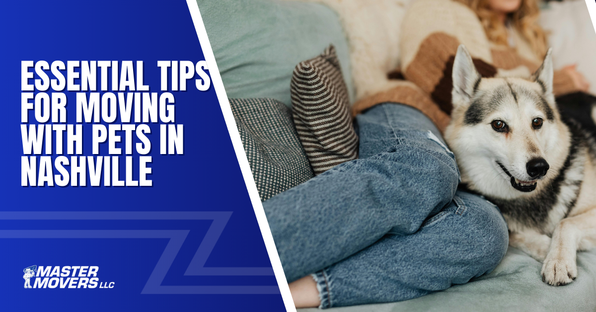 essential tips for moving with pets in nashville