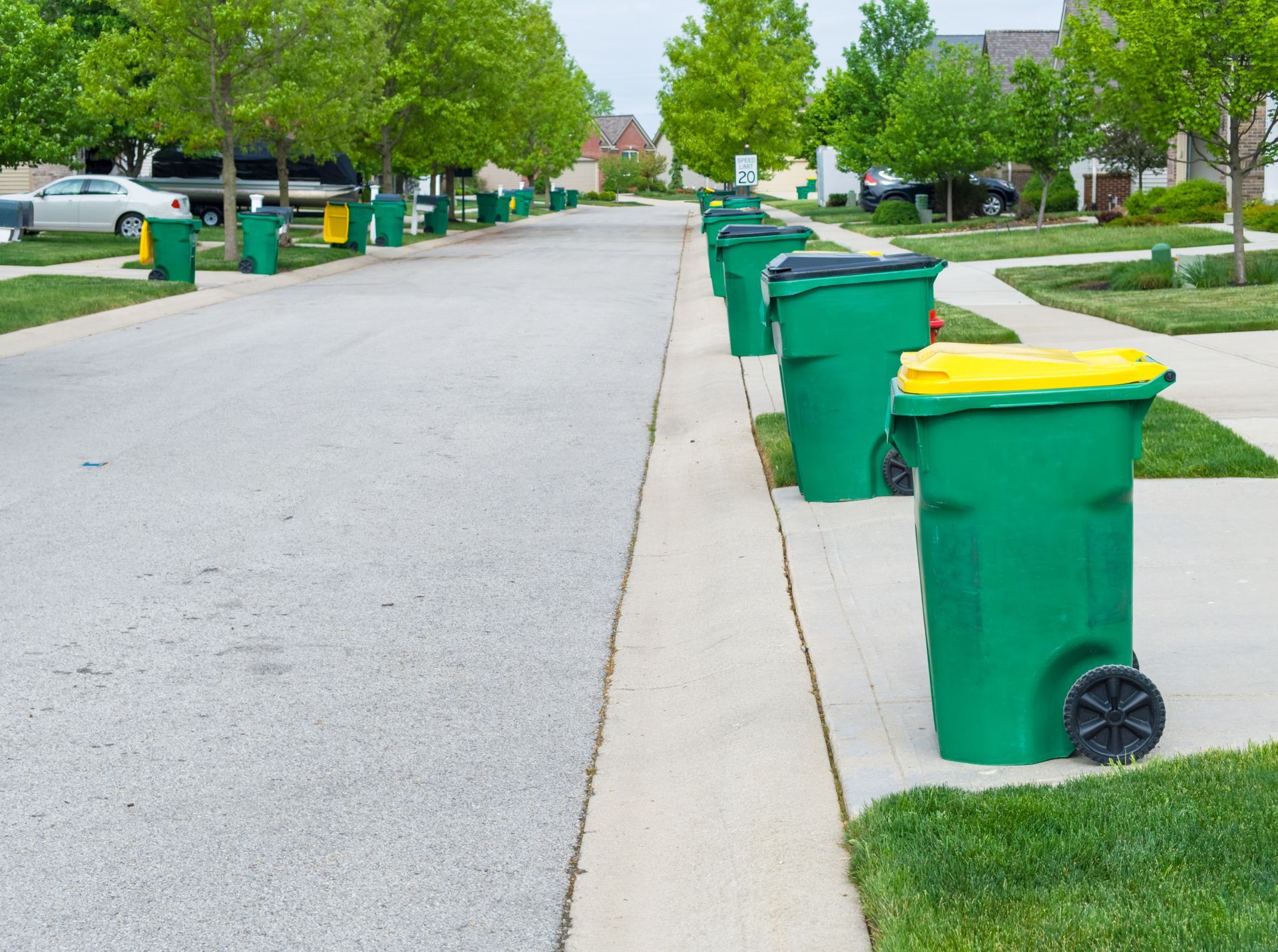 Une rangée de poubelles vertes est alignée sur le côté d'une rue.