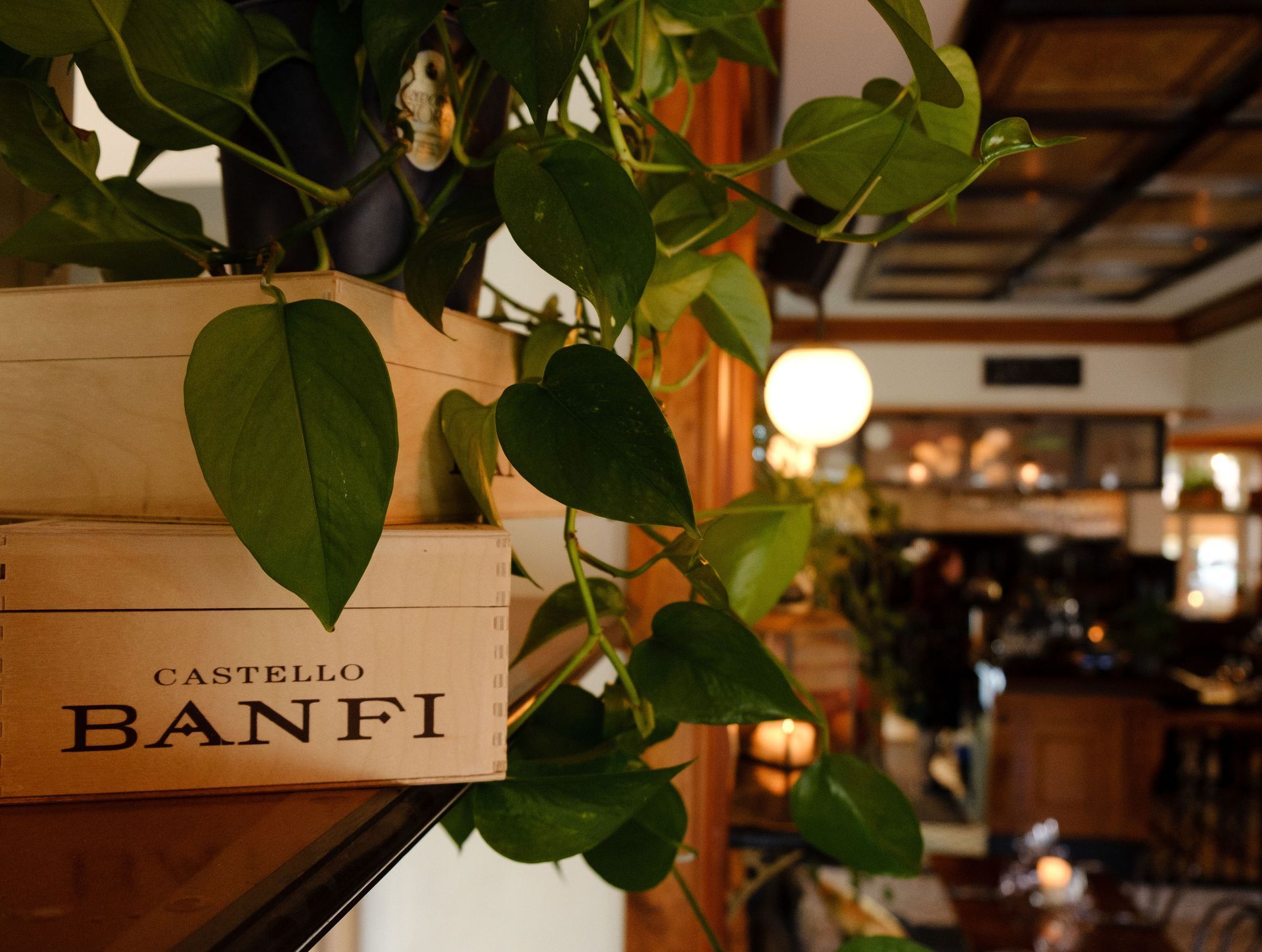 En trekasse med banfi skrevet på