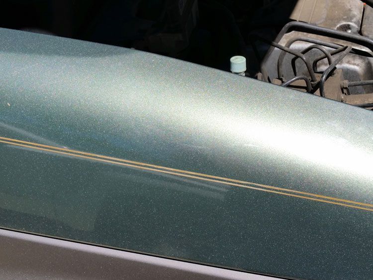 A close up of the hood of a car