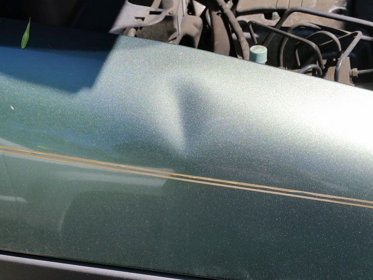 A close up of a green car with the hood open