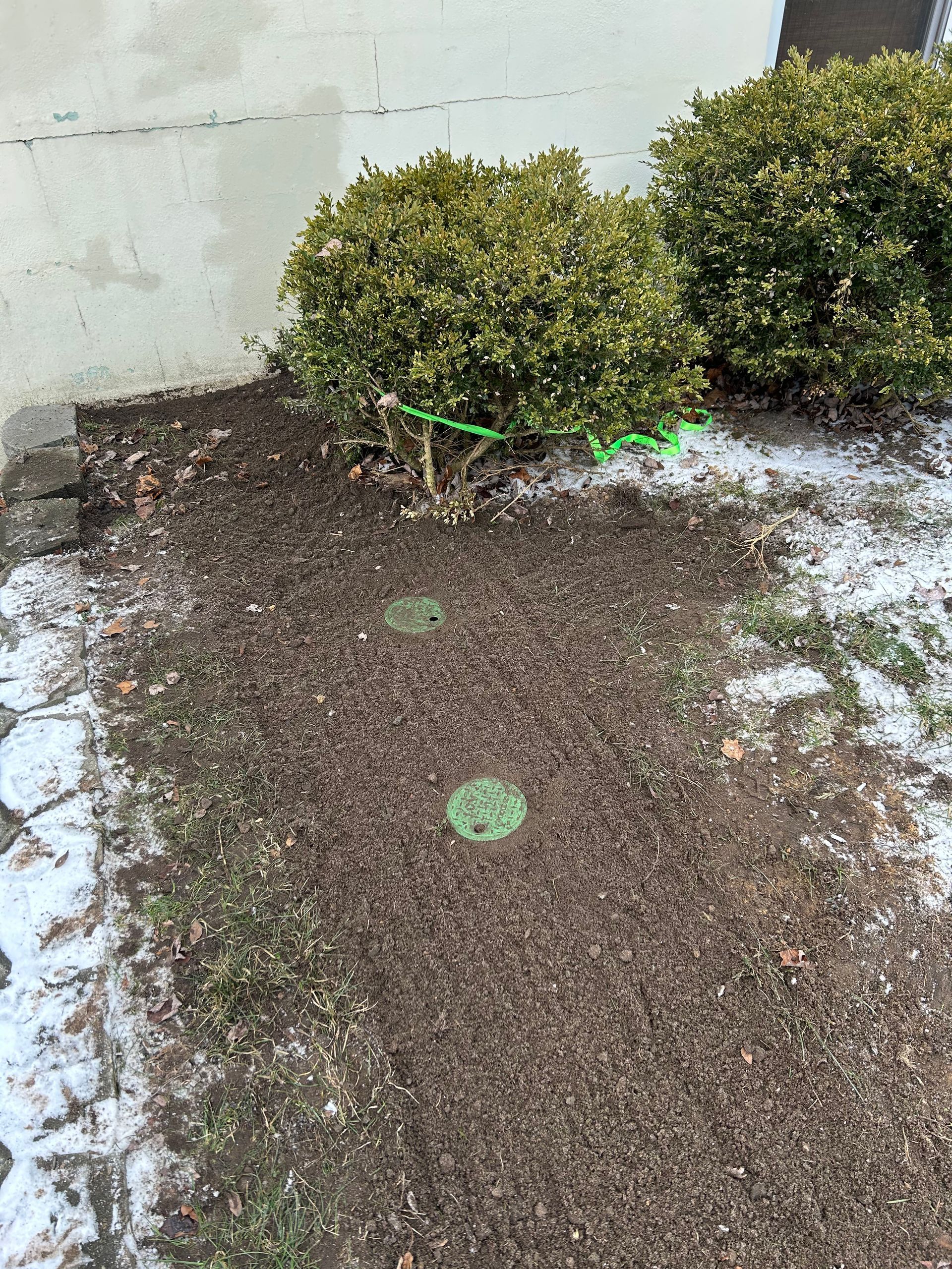 A snowy sidewalk with a few bushes in the background.