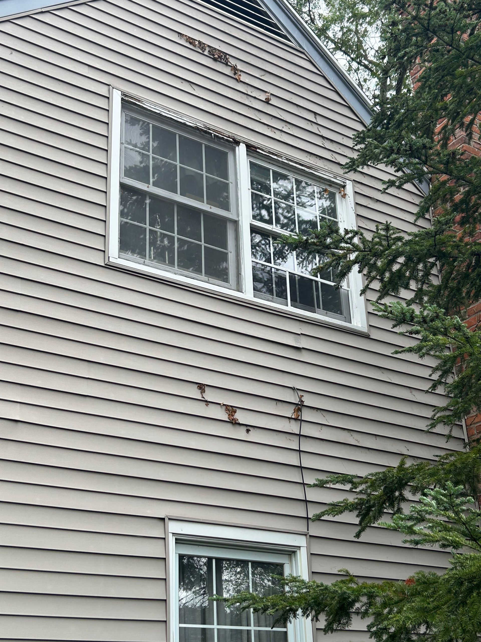 A house with a lot of windows and a tree in the background.