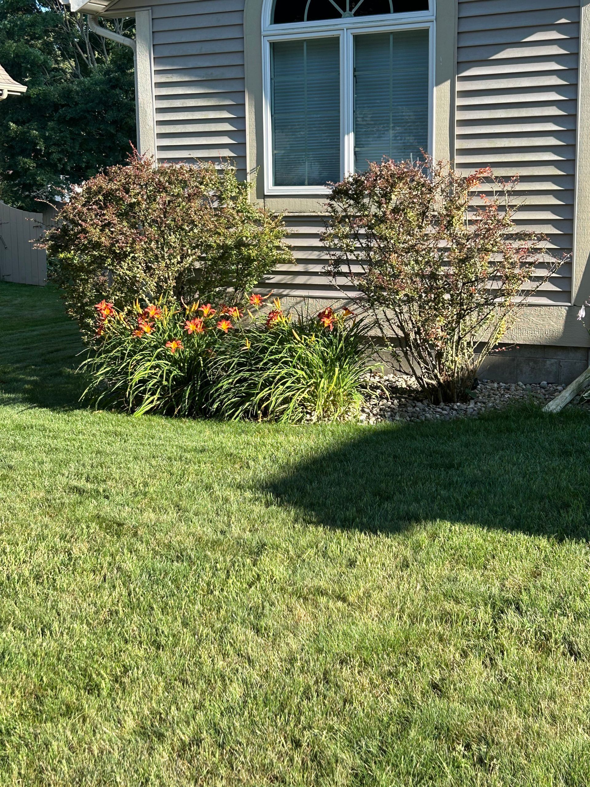 A house with a lot of grass and flowers in front of it.