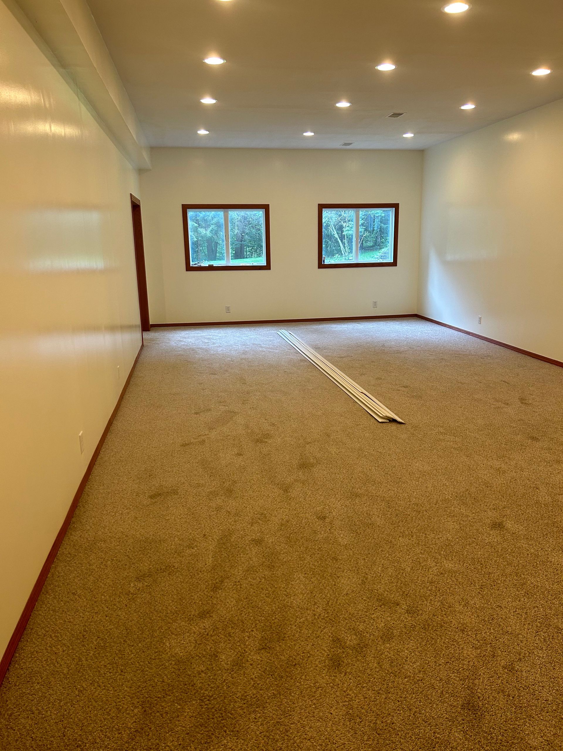 An empty room with a carpeted floor and two windows.