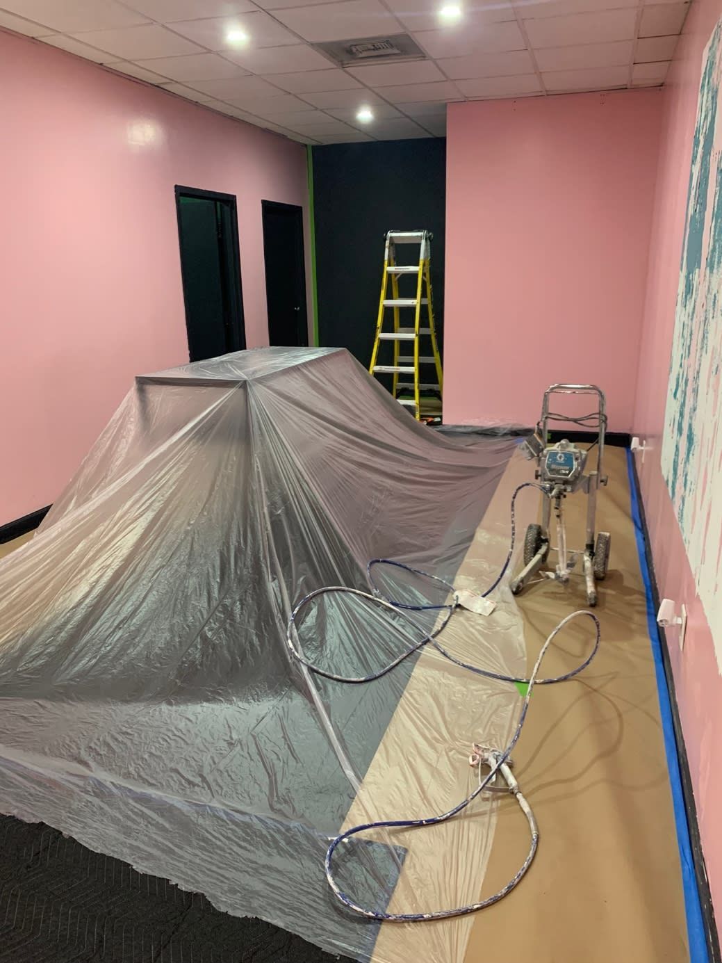 A room with pink walls and a tarp on the floor.