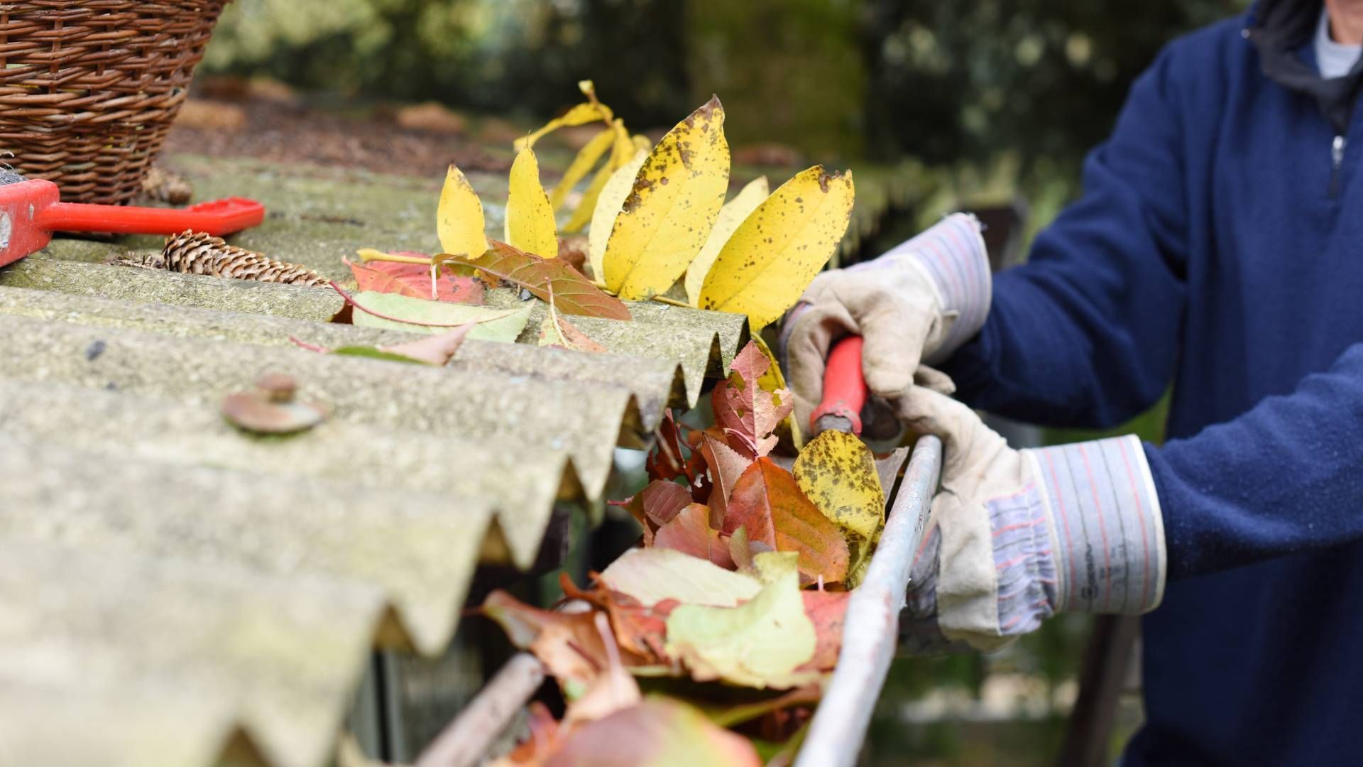 A person is cutting leaves from a roof with a pair of scissors.