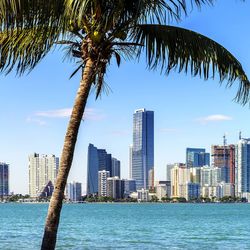 Miami Florida Moving Services