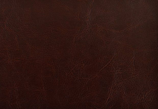 Natūrali oda baldams CACHTANJE