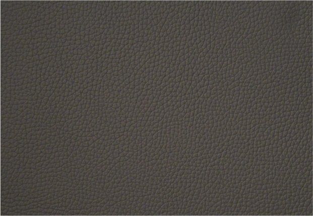 Natūrali oda automobiliams 7500-N