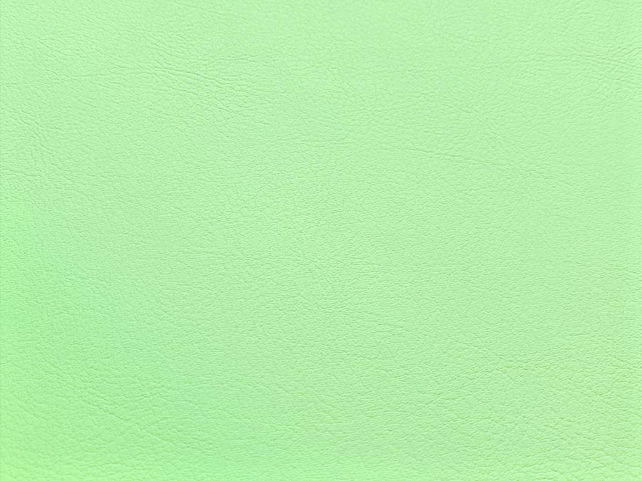 Dirbtinė oda baldams - Neo mint (021774)