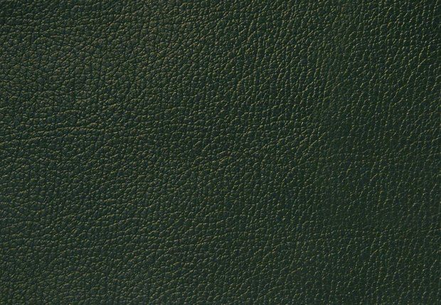 Natūrali oda baldams Bicolore 8020-B90G GREEN