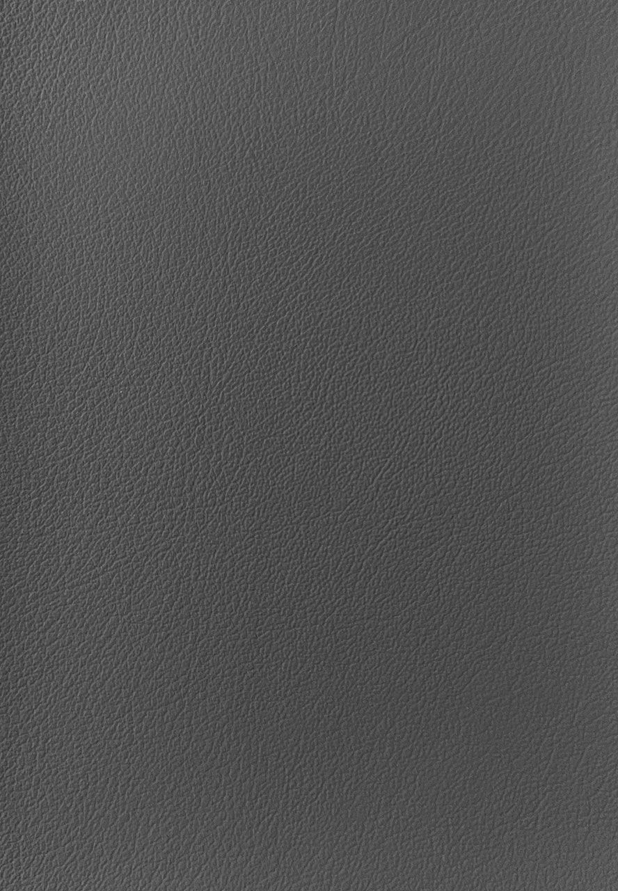 Dirbtinė oda automobiliams D/WL-131