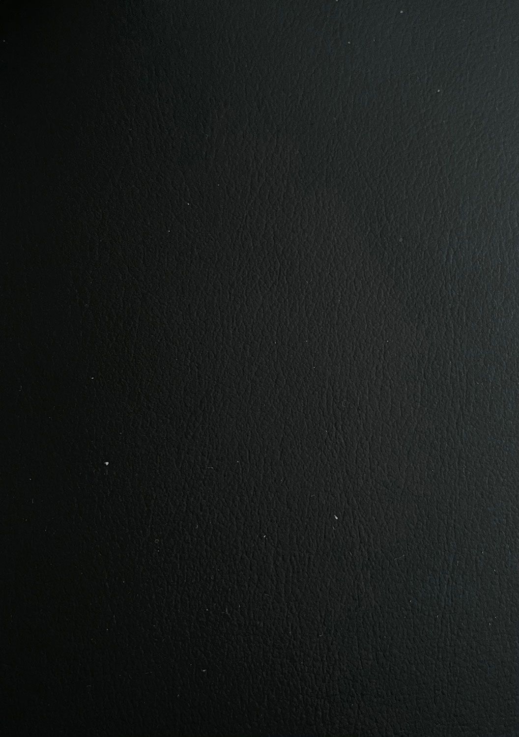 Dirbtinė oda automobiliams D/WL-14A