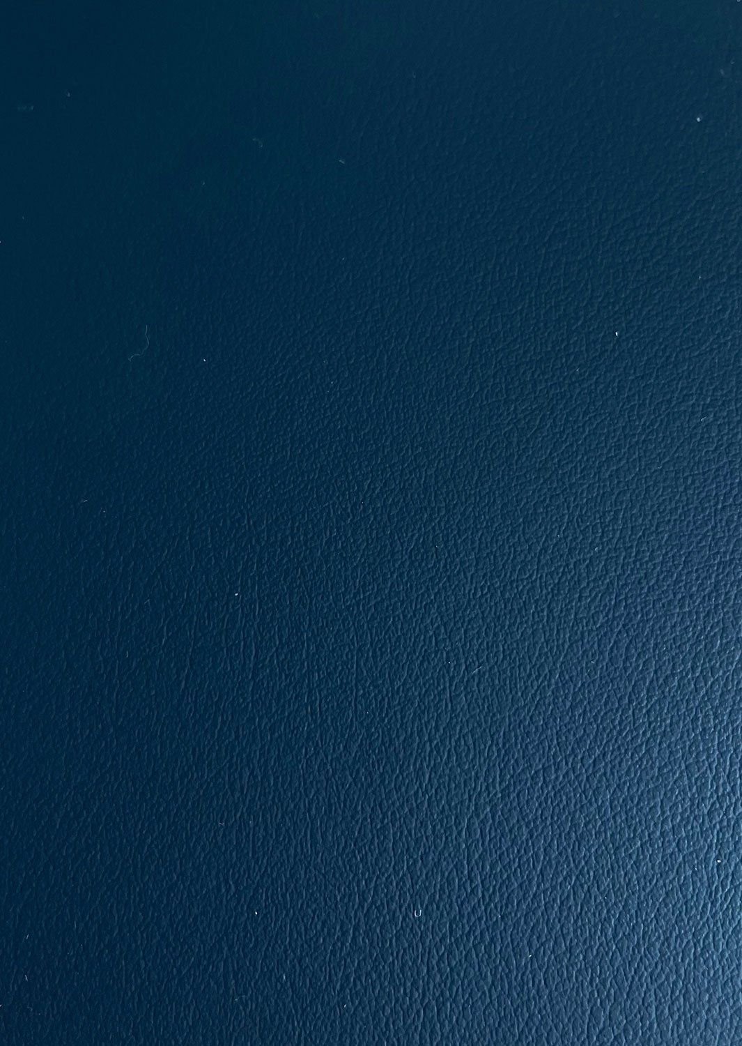 Dirbtinė oda automobiliams D/WL-188