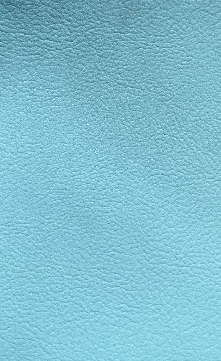 Dirbtinė oda automobiliams D/WL-228