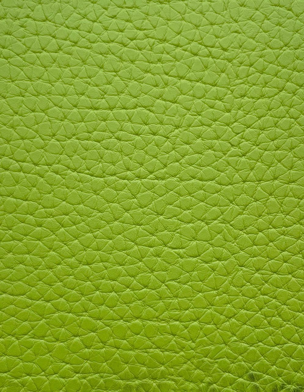 Dirbtinė oda automobiliams D/WL-381