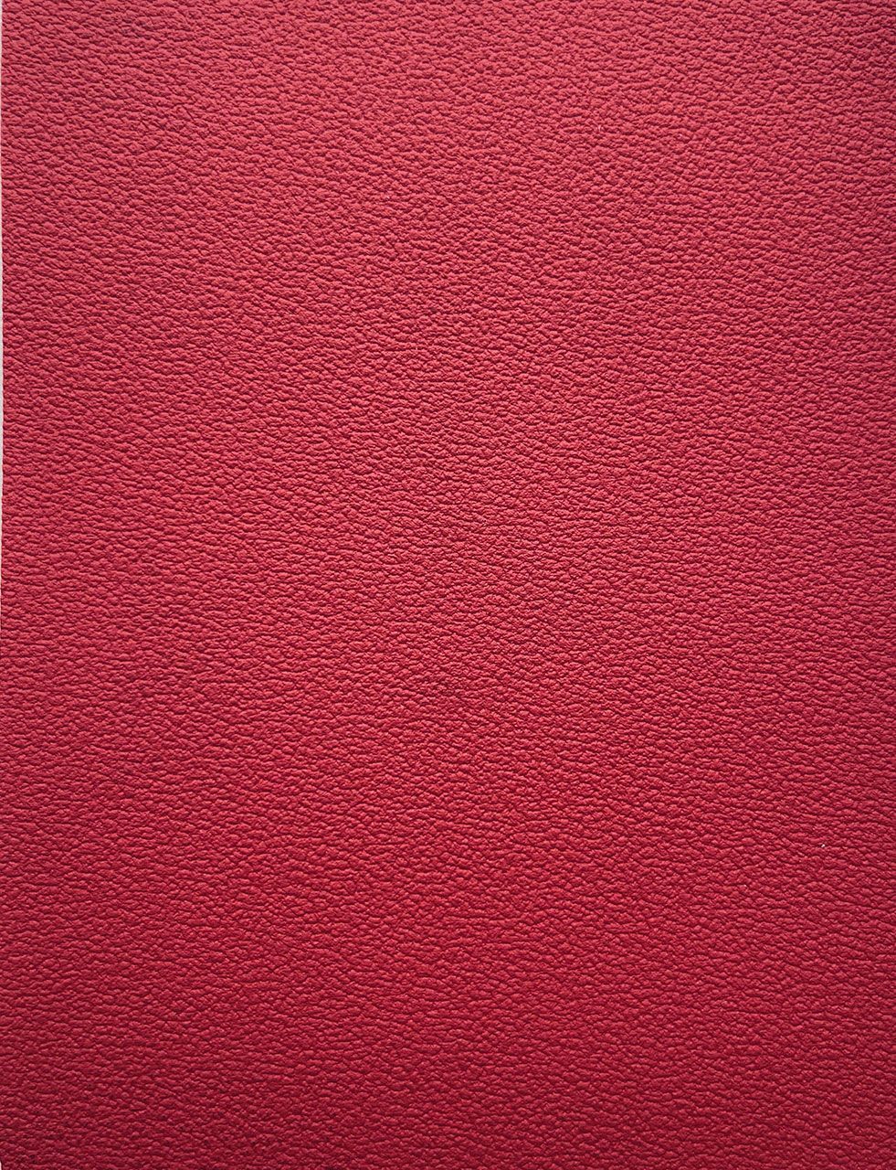 Dirbtinė oda automobiliams D/WL-405