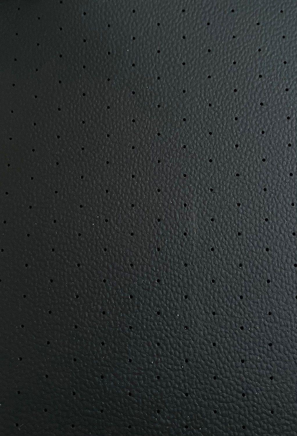 Dirbtinė oda automobiliams D/WL-53P