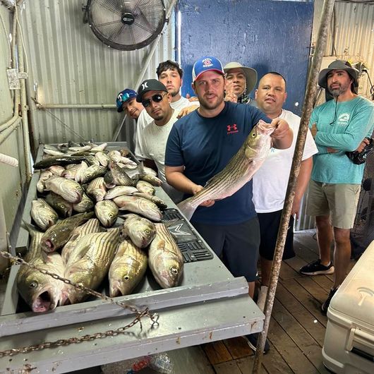 A group of men are standing around a table full of fish.