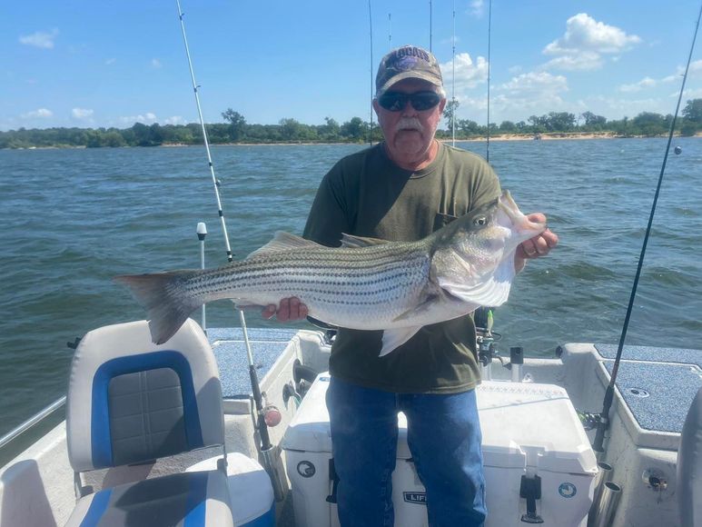 A man is sitting on a boat holding a large fish.