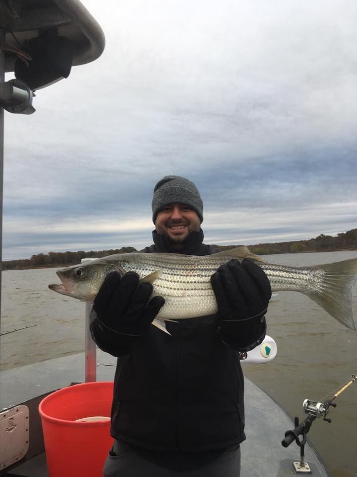 A man is holding a large fish on a boat