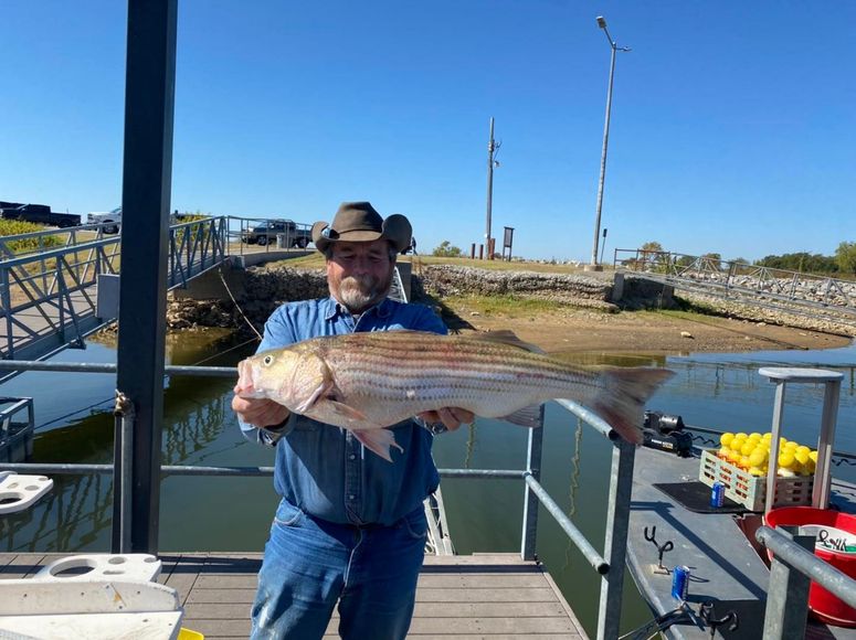 A man is sitting on a boat holding a large fish.