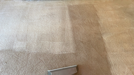 A close up of a carpet being cleaned with a vacuum cleaner.