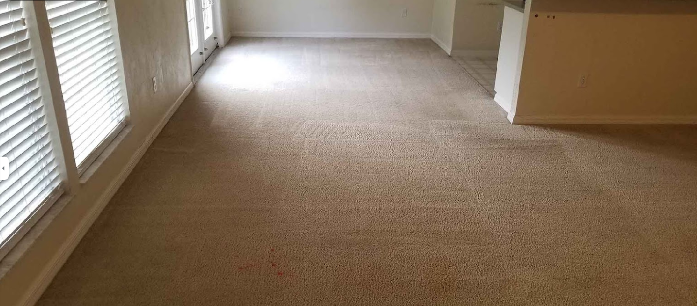 An empty living room with a tan carpet and white blinds.