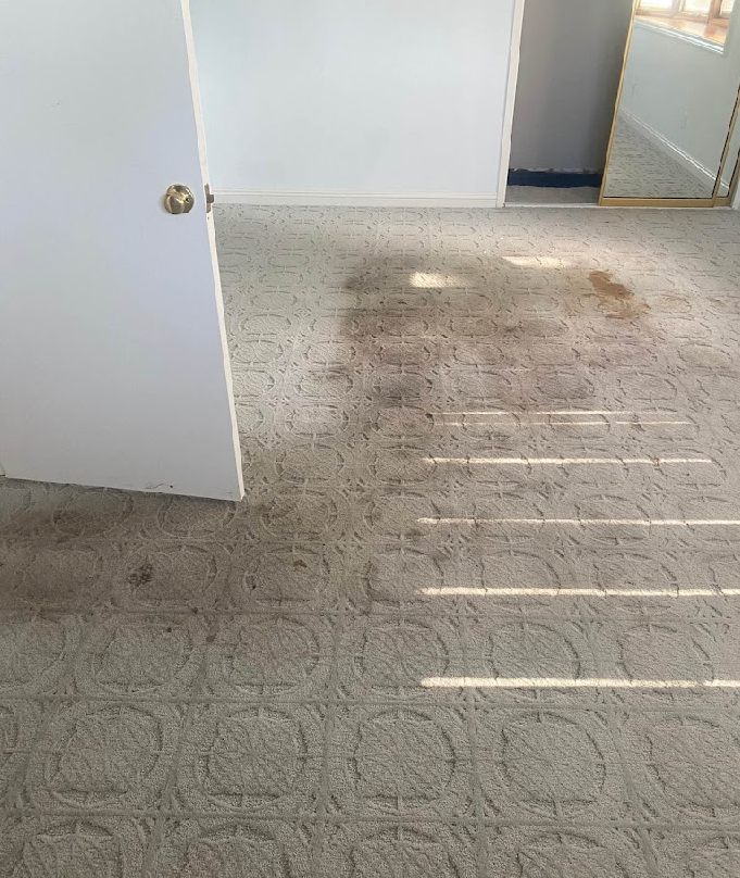 A room with a dirty carpet and a door.