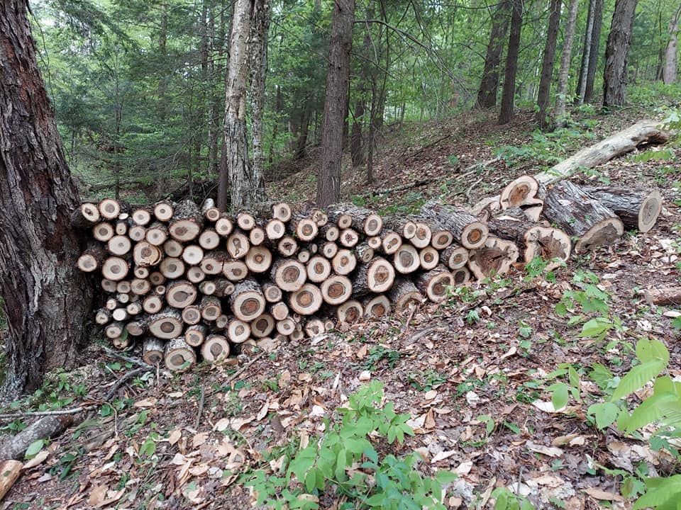 About Griffin's Seasonal Services in Lowville, NY