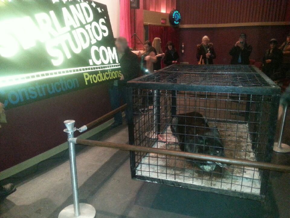 Napier Cinema, Drumheller, AB. Company screenings with Matt Paproski and wolf Timber.