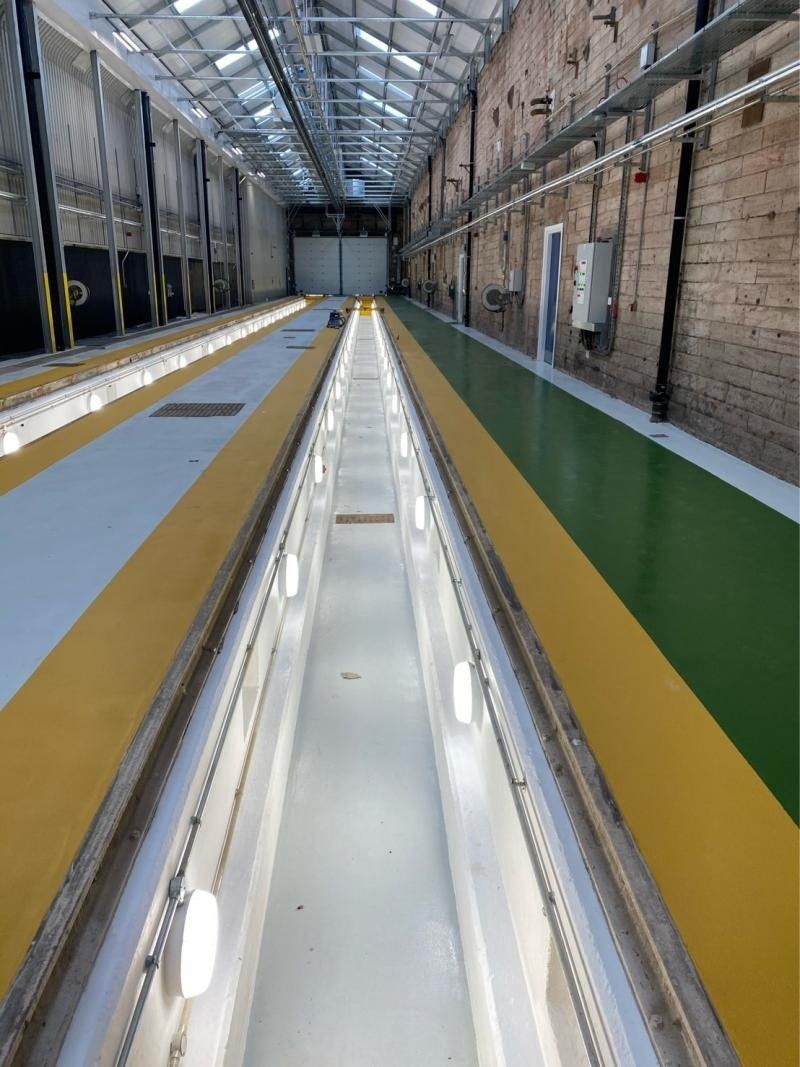 decorating project during work