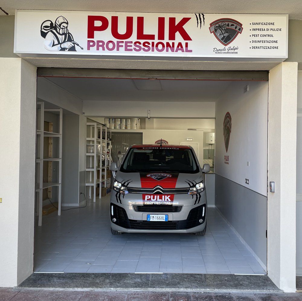 servizio di disinfestazione rapido