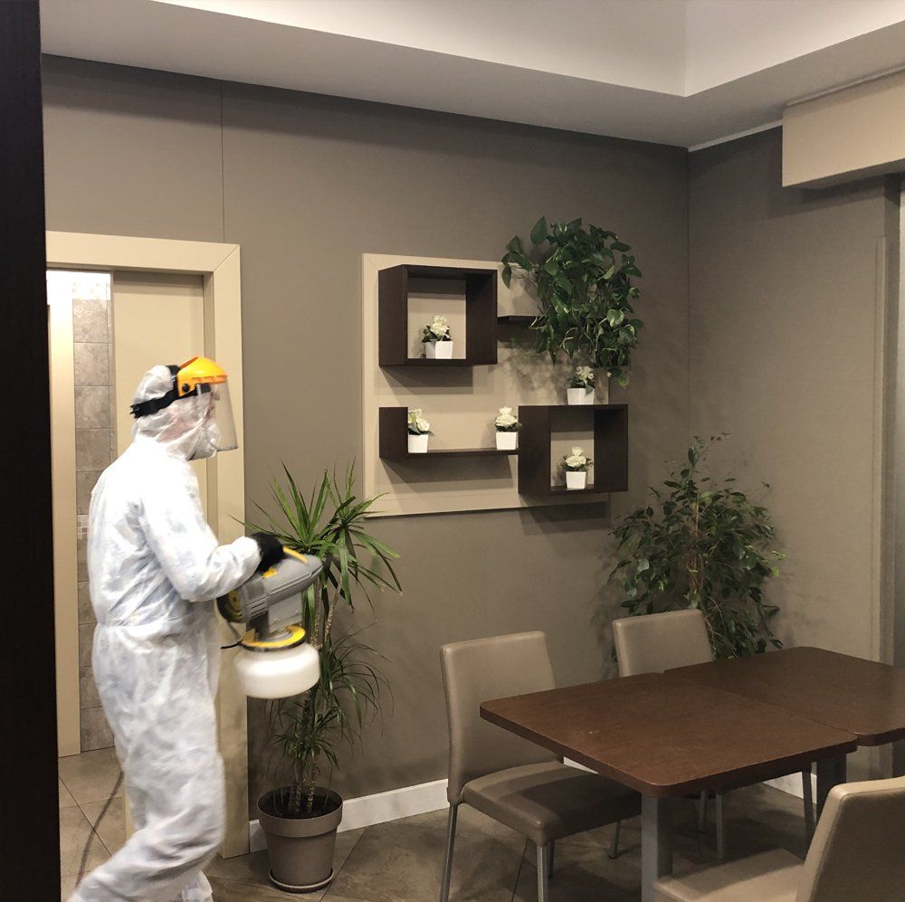 intervento di pulizia e sanificazione per attività commerciali