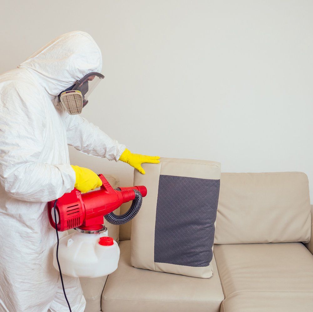 intervento di sanificazione con attrezzatura all'avanguardia