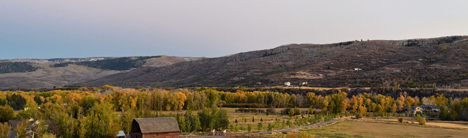 An aerial view of a house in the middle of a forest with mountains in the background.