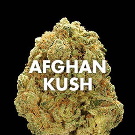 AFHAN  Kush