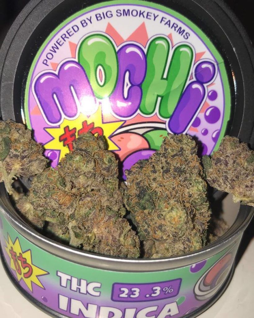 Mochi Tropical Cannabis Strain