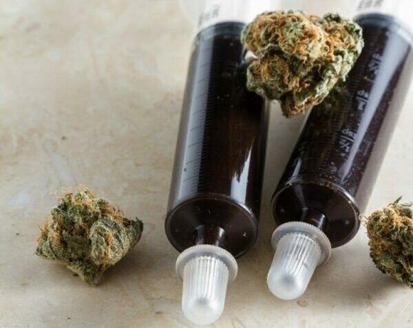 Cannabis Oil for healing