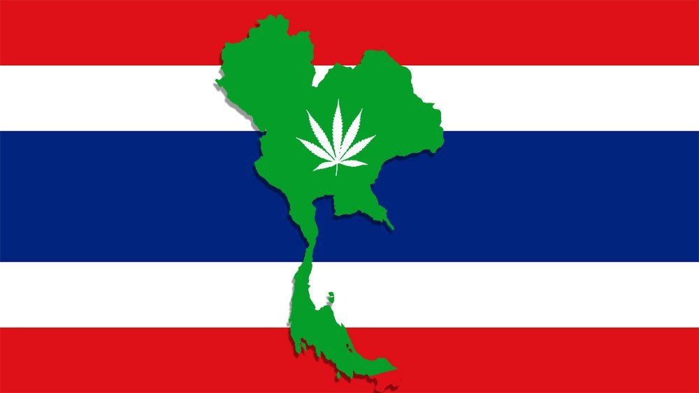 WEED DELIVERY THAILAND