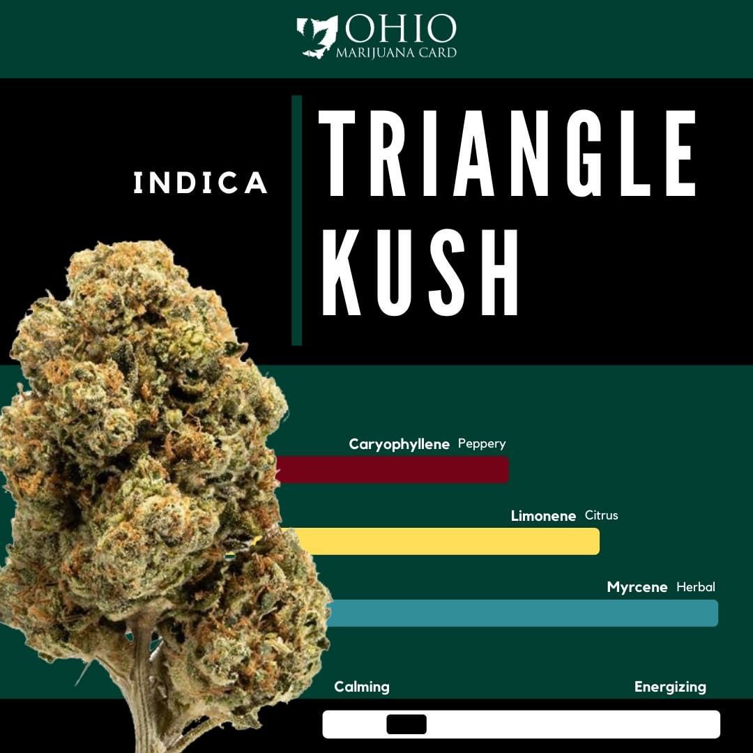 TRIANGLE Kush